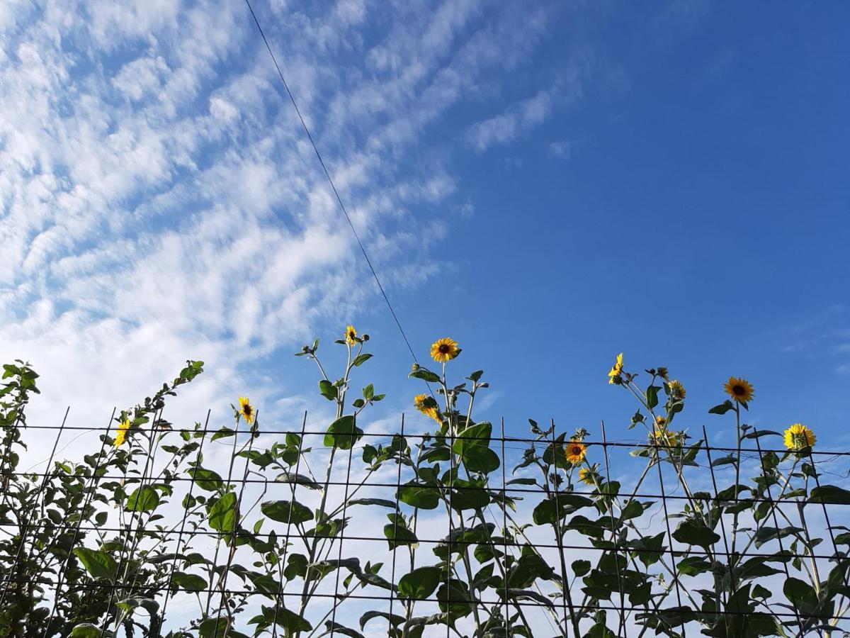 Guesthouse Kume Imabari Railway Station Exterior foto
